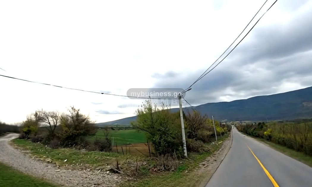 იყიდება სააგარაკე მიწის ნაკვეთი ოკამში, კასპი