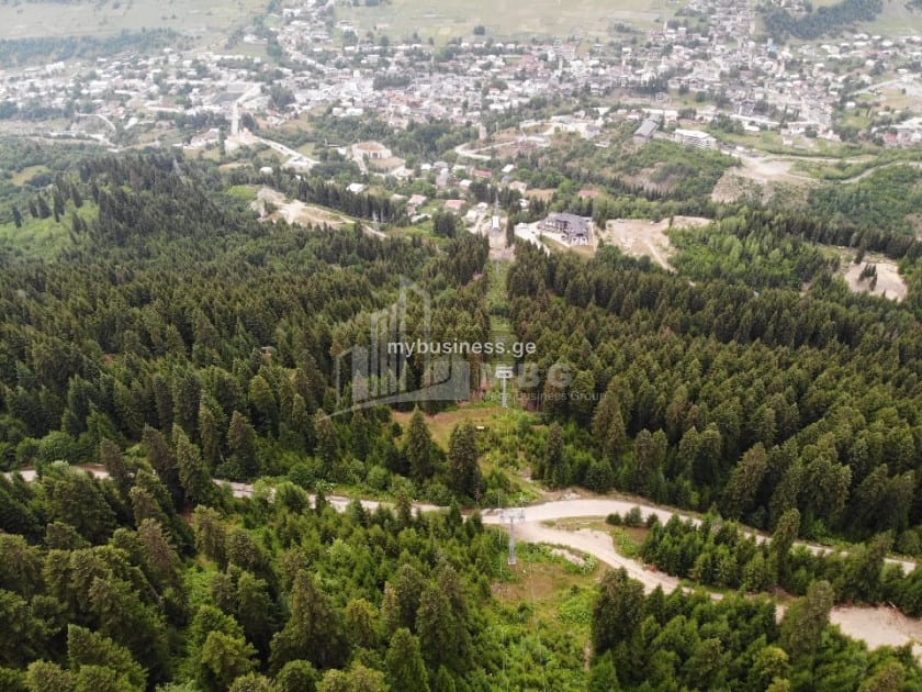 იყიდება სამშენებლო საინვესტიციო მიწის ნაკვეთი კურორტი ჰაწვალში, მესტია