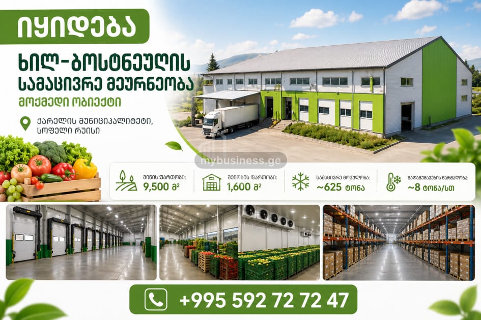 იყიდება სამაცივრე საყინულე ტერიტორია კომერციული ფართი რუისში, ქარელი