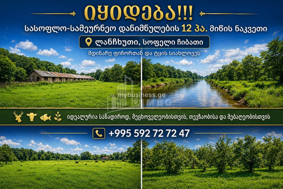 იყიდება სახნავ სათესი მიწის ნაკვეთი სოფელ ჩიბათში, ლანჩხუთი