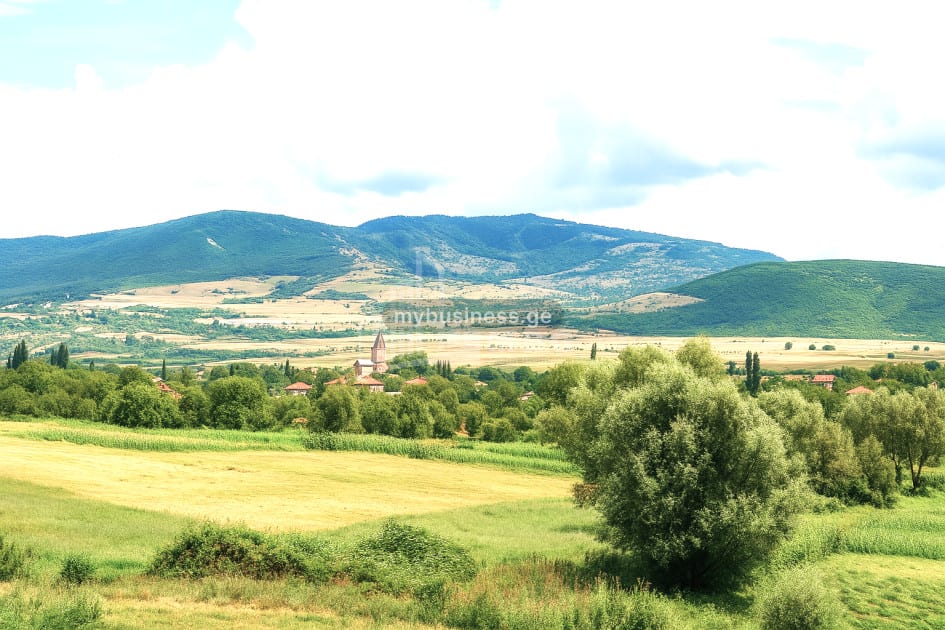იყიდება სააგარაკე მიწის ნაკვეთი იგოეთში, კასპი