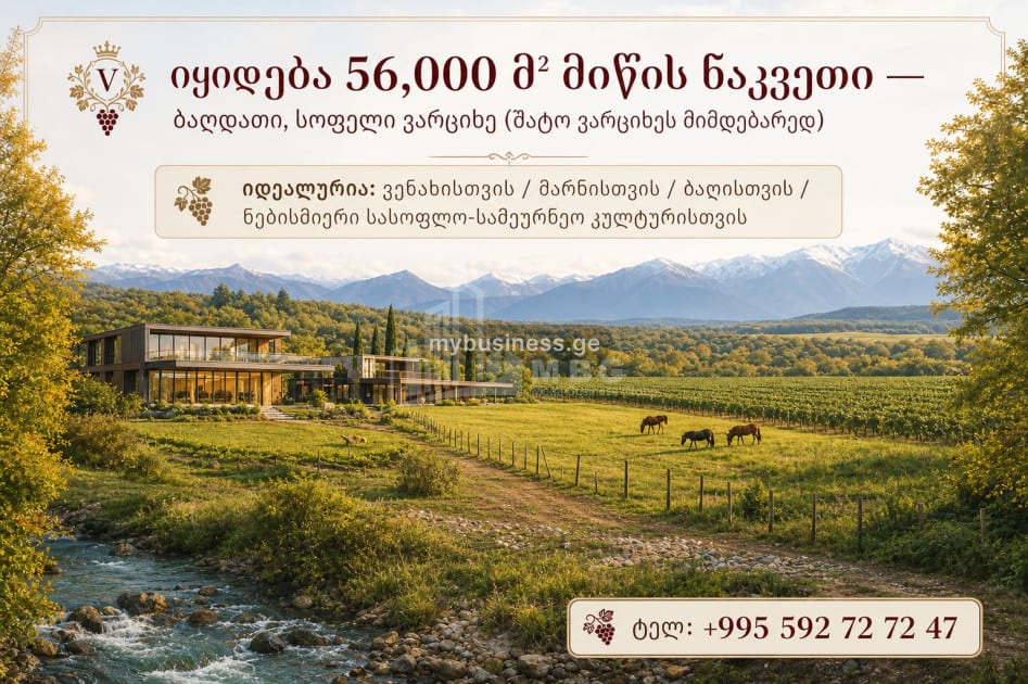 იყიდება სააგარაკე მიწის ნაკვეთი იმერეთში