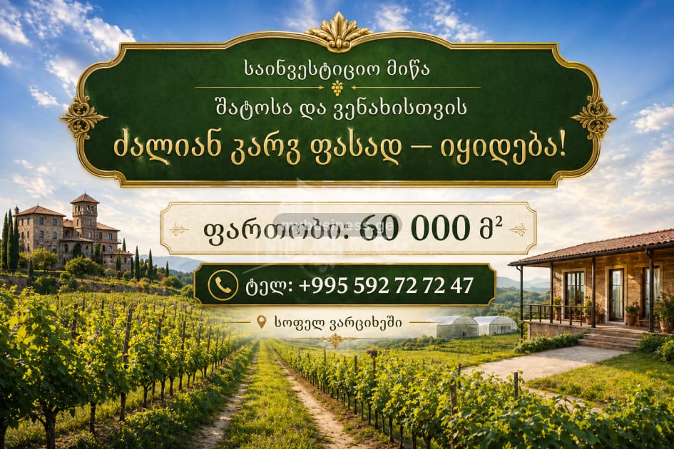 იყიდება ხეხილის ბაღი მიწის ნაკვეთი იმერეთში