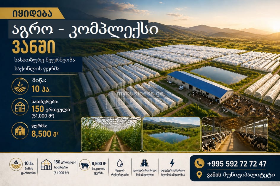 იყიდება სასათბურე მიწის ნაკვეთი ვანში