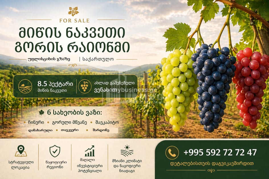 იყიდება სავენახე საშატოე მიწის ნაკვეთი გორში