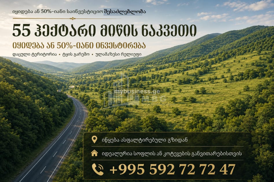 იყიდება სააგარაკე მიწის ნაკვეთი ჭერემში, გურჯაანი