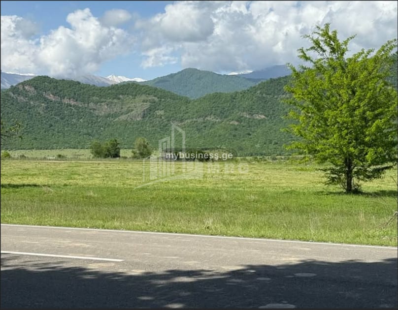 იყიდება ხეხილის ბაღი მიწის ნაკვეთი ნაფარეულში, თელავი